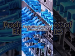 Προσαρμοσμένο μήκος υψηλής ταχύτητας 4K 120Hz 8K 60Hz καλώδια επικοινωνίας ατσάλινου αγωγού